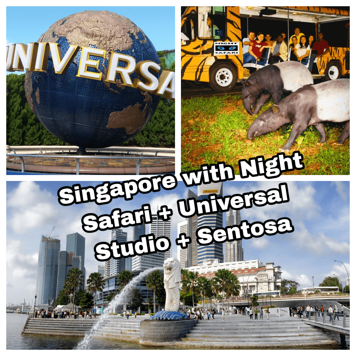 night safari singapore sentosa